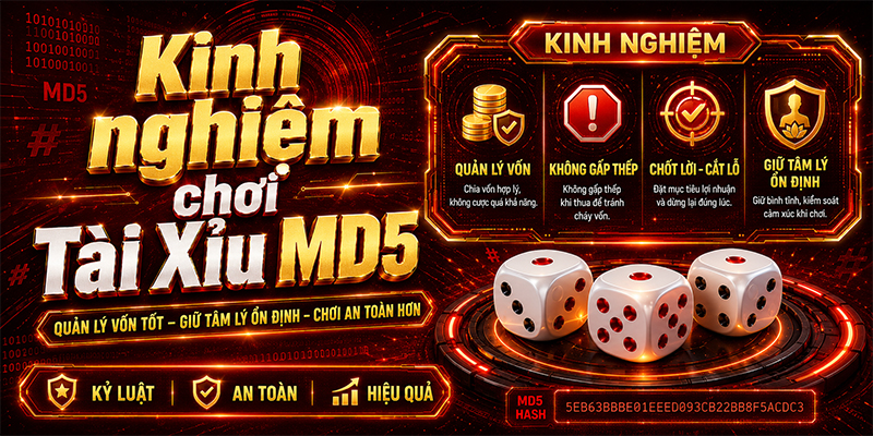Kinh nghiệm chơi Tài Xỉu MD5 an toàn